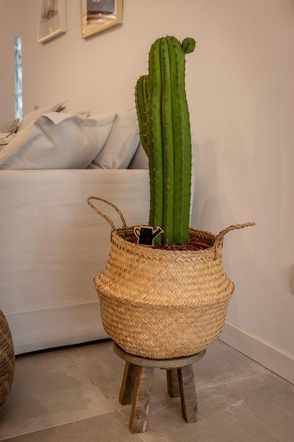 Flatguest Orinoco + Pool + Terrace + Garden Villa โมกัน ภายนอก รูปภาพ